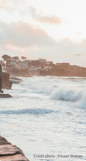 Photoguernesey copie